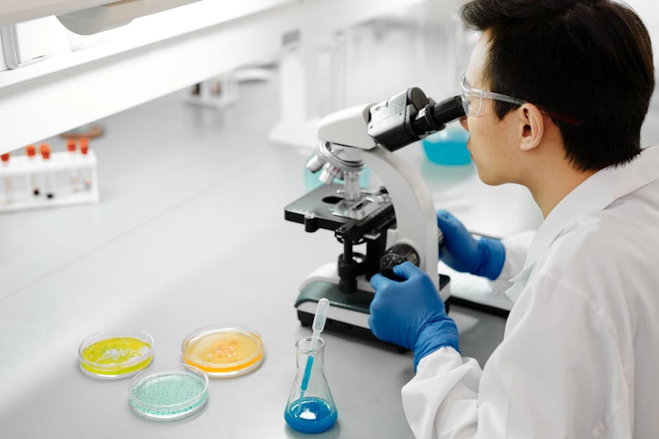 Scientist in laboratory examining samples with a microscope, surrounded by colorful petri dishes.