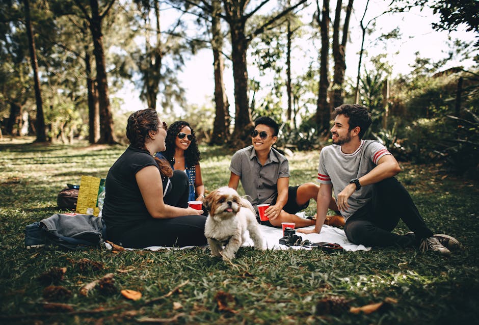 pexels-photo-745045-745045 Friends having a fun picnic in the park with a Shih Tzu, enjoying a sunny day outdoors.